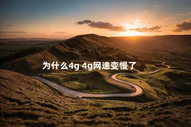 为什么4g 4g网速变慢了